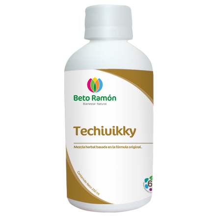 TECHIHUIKKI
