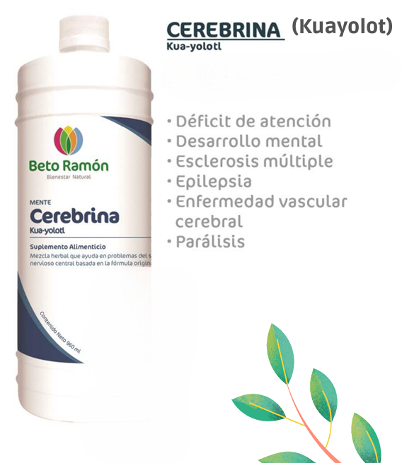 CEREBRINA CR-KUAYOLOTL
