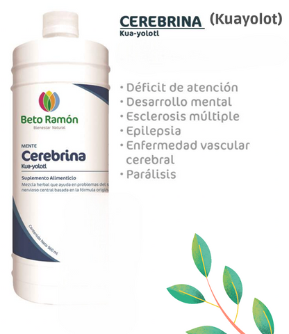 CEREBRINA CR-KUAYOLOTL