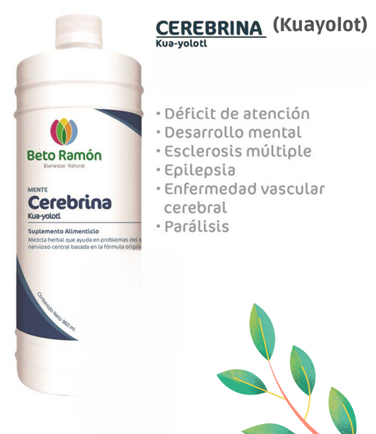 CEREBRINA CR-KUAYOLOTL