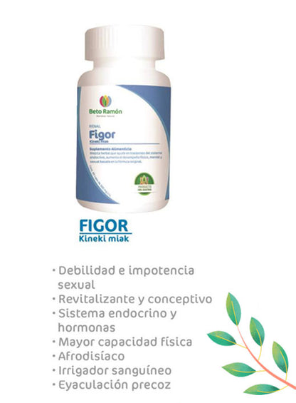 FIGOR