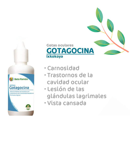 GOTAGOCINA