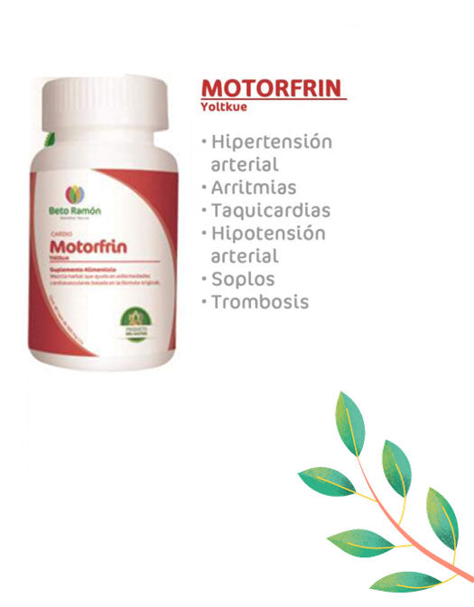 MOTORFRIN
