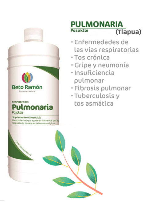 PULMONARIA