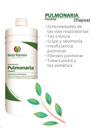 PULMONARIA