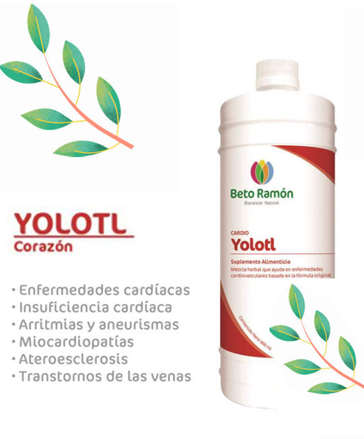 YOLOTL