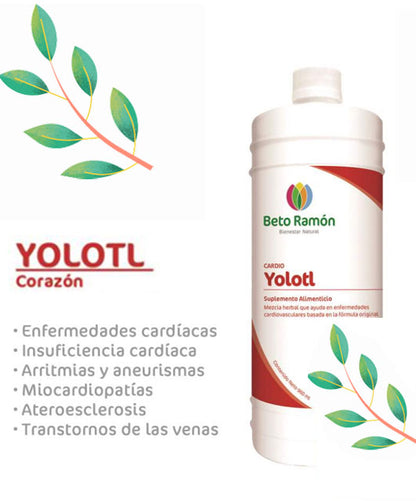 YOLOTL